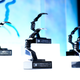 Portrait of a Nation prizes